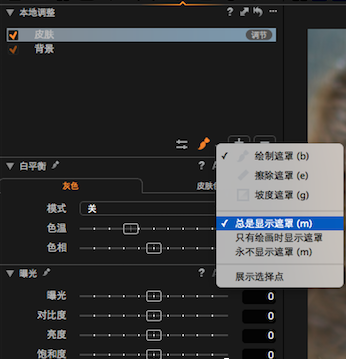 capture one 9中文免费版