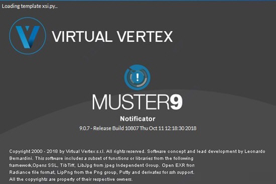 Virtual Vertex Muster