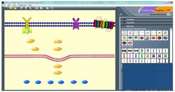 Pathway Builder Tool