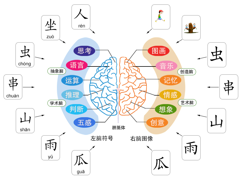 麦田拾字-幼儿识字