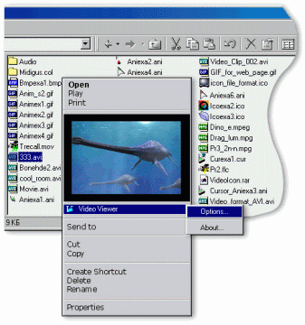 Acloon VideoViewer