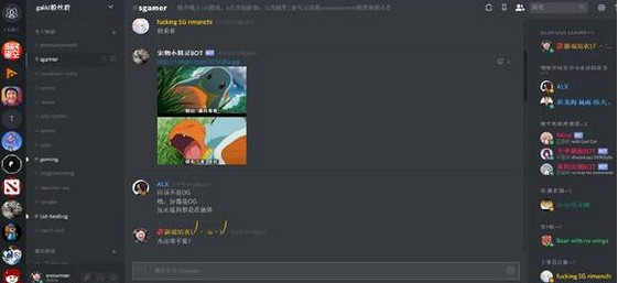 Discord(语音聊天沟通软件)