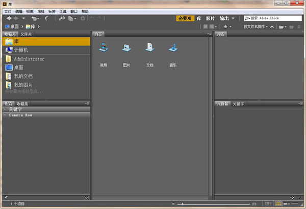 Adobe Bridge CC 2020