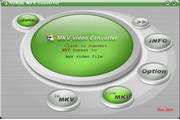 AVAide MKV Converter