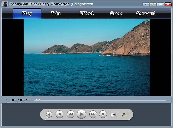 PeonySoft Video to BlackBerry Converter