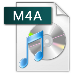 Earth DVD To MP3 Converter