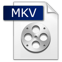 MKV to AVI Converter