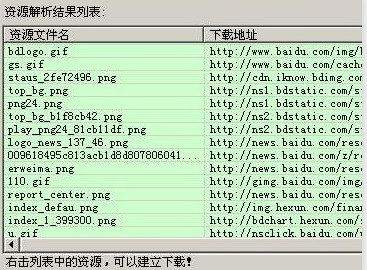 网页视频下载器 绿色版