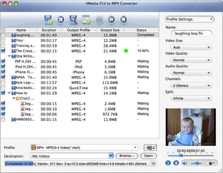 4Media FLV to MP4 Converter for Mac