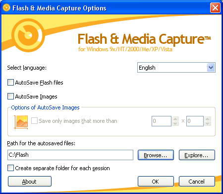 Flash and Media Capture