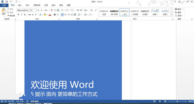 Microsoft Office 2013