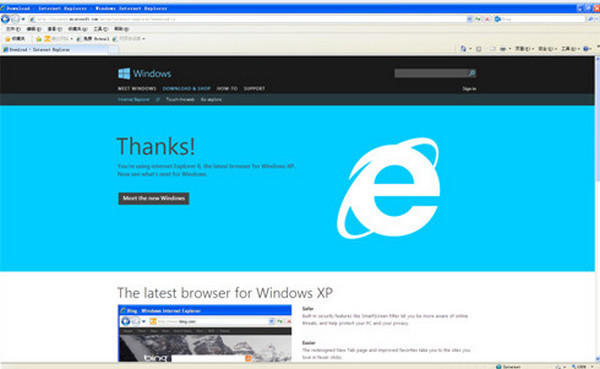 ie8.0