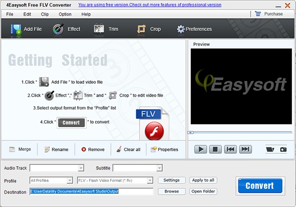 4Easysoft Free FLV Converter