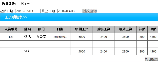 雷速工资查询系统