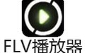 FLV播放器