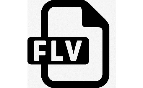 FLV视频播放器