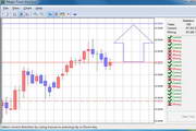 Magic Forex Intuition