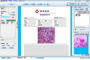 病理图文报告系统