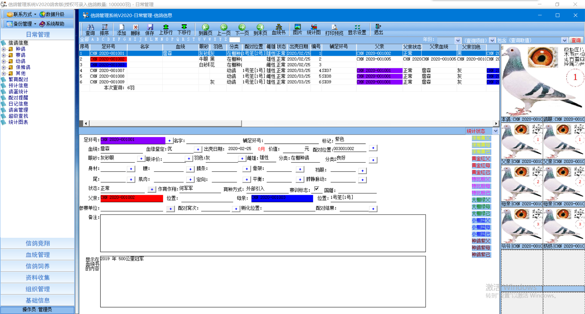 信鸽管理系统V2020