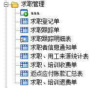 E立方财务业务一体化系统