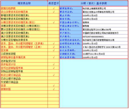 江城验资系统