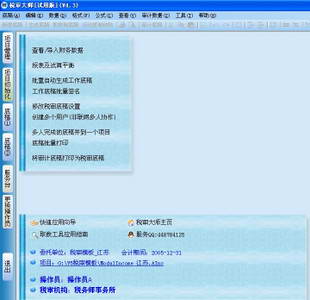 税审大师(审计软件)