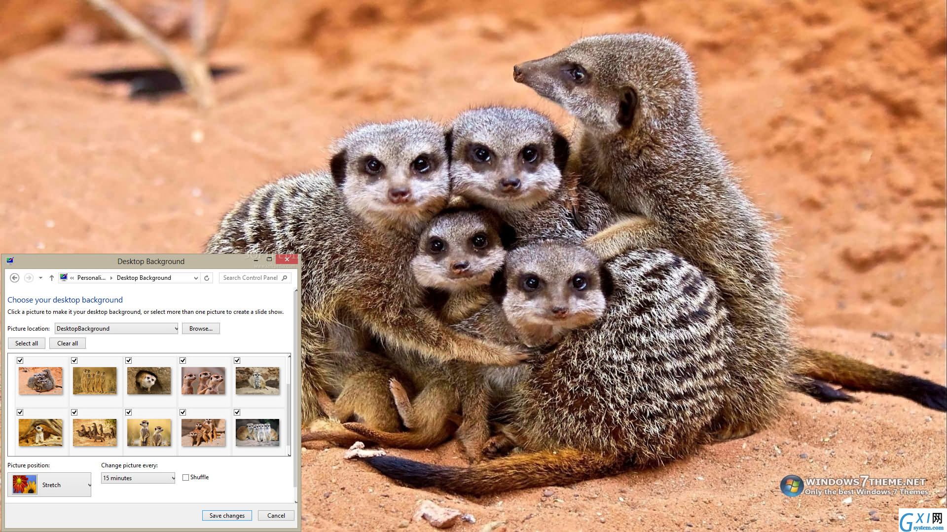 Meerkats Windows 7 Theme