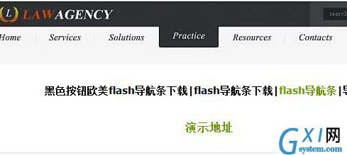 黑色按钮欧美flash导航条