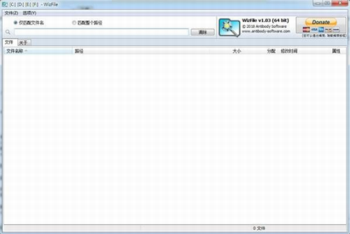 WizFile文件搜索工具