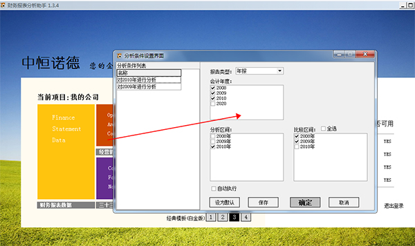 财务报表分析助手