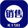 k198销售出库单打印软件