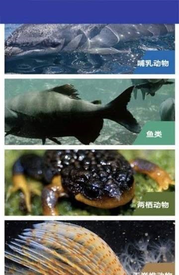 海底博物馆截图2