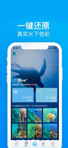 Dive+截图3