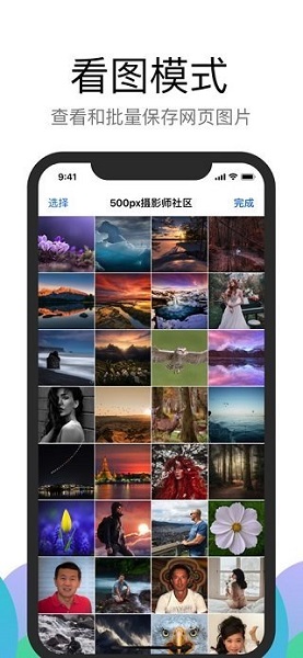 alook浏览器3.9纯净版截图6