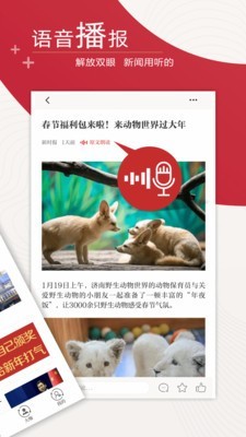 新时报客户端截图4