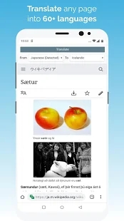 kiwi浏览器安装包截图3