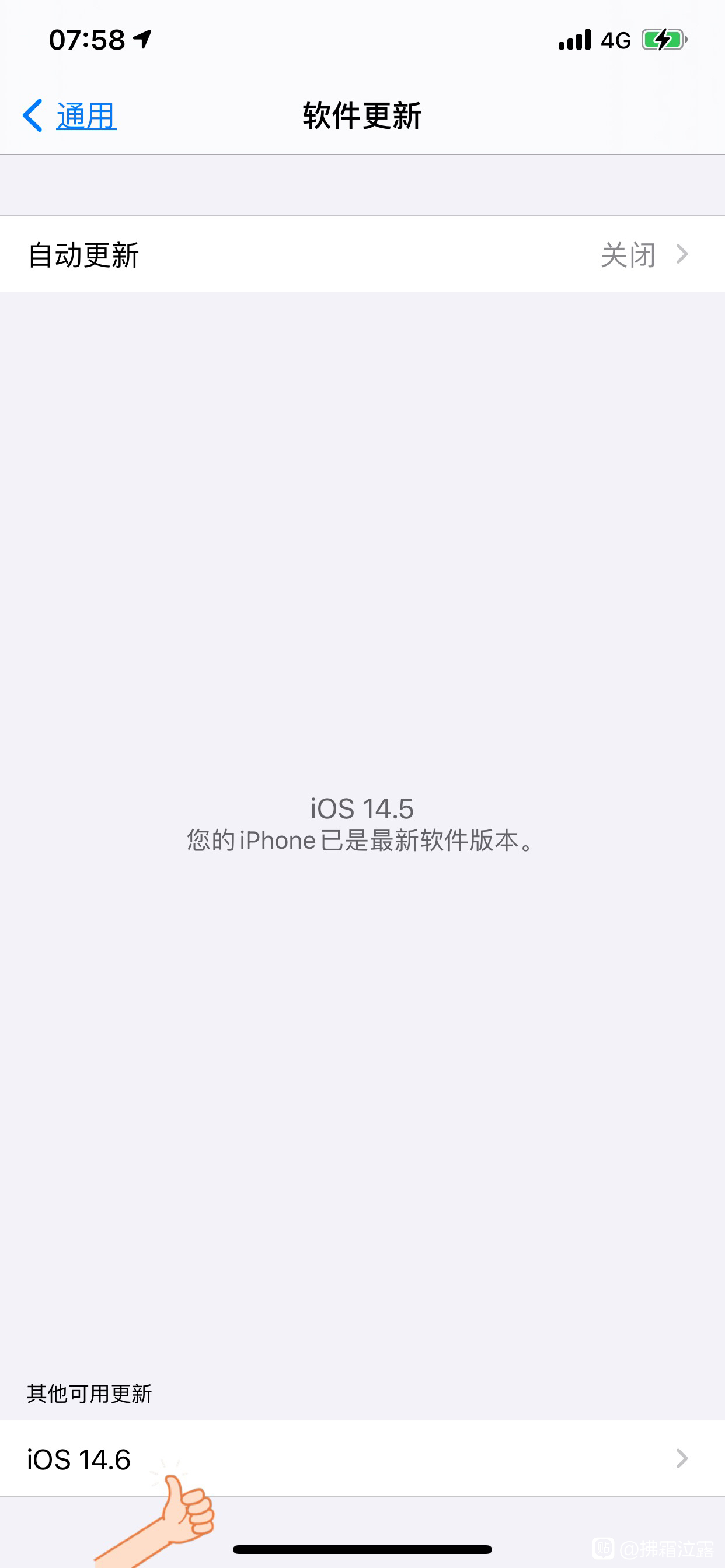 ios14.6描述文件截图5