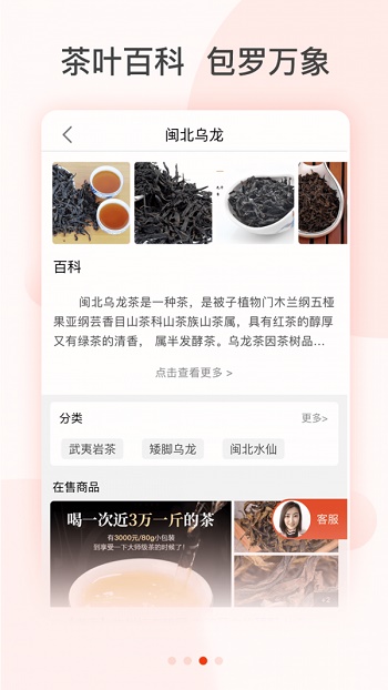 茶吉送截图3