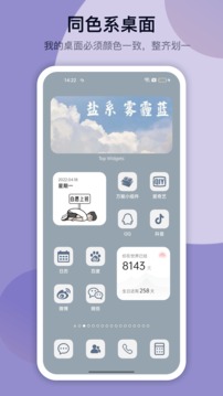 万能小组件topwidgets截图3