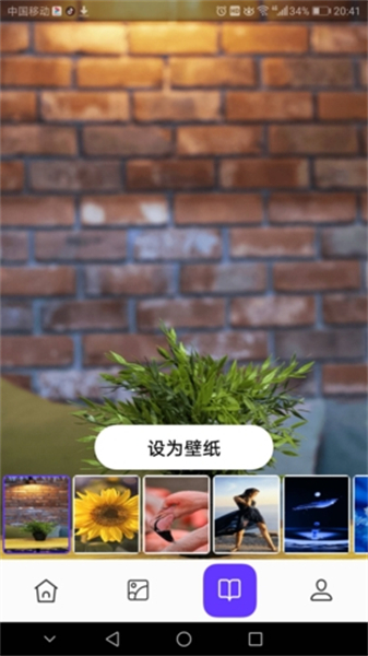 皮皮助手app截图4