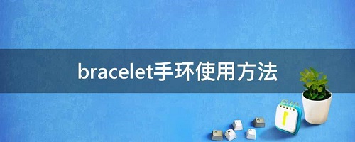 bracelet手环app