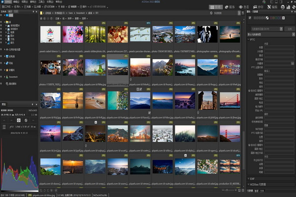 ACDSee 旗舰版 2022
