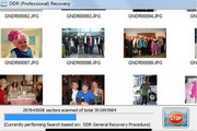 DDR Professional Data Recovery Software