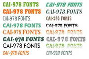 CAI978经典英文字库