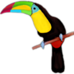 Toucan