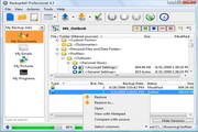 Backup4all Professional