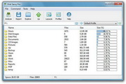 Disk Savvy Enterprise x64