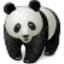 Panda Batch File Renamer