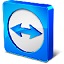 TeamViewer11