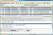 Wireshark Portable